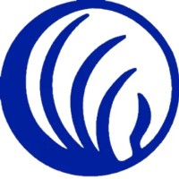 NAMI Johnston County NC Inc logo - Similar company to Rafa Buildings Solutions