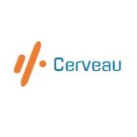 Cerveau