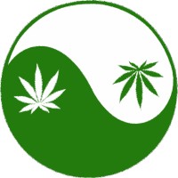 Landen Consulting