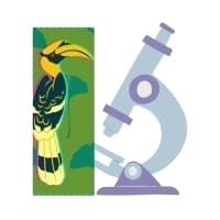 Northeastern Centre for High School Research logo - Similar company to Qidds