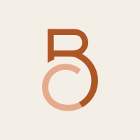 Bright Consulting Agency logo - Similar company to Marketing Without Borders