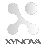 xynova logo - Similar company to Devlap