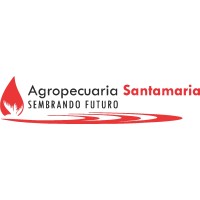 GRUPO EMPRESARIAL ASM logo - Similar company to Xl Ideas