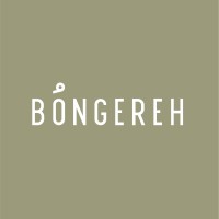 BONGEREH logo - Similar company to Ability Consultancy
