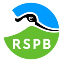 RSPB logo - Similar company to Raptor Research Foundation
