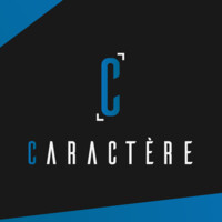 Caractère DZ logo - Similar company to Insigne Conseil
