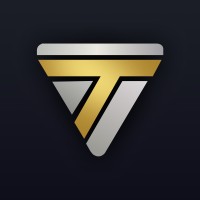 Techventrix logo - Similar company to Lexa Solution
