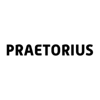 Praetorius logo - Similar company to Dyrdee Media