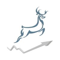 DEER CAPITAL logo - Similar company to Integra Pymes Sgr