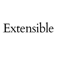 Extensible AI logo - Similar company to Infra App