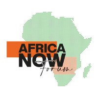 Africa Now Forum logo - Similar company to Cdic - Cameroon Digital Innovation Centre