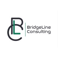 BridgeLine Consulting logo - Similar company to Gustego