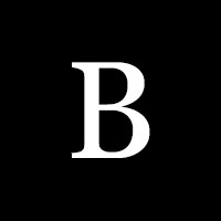 Birkeslund Consulting logo - Similar company to Pr Trading A/S