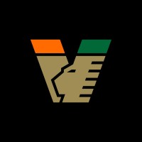 Venezia FC logo - Similar company to Theorema