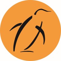 Chilli Penguin Stoves logo - Similar company to Ashburn Stoves & Heating