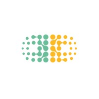 DataSinapse logo - Similar company to Triadx Solutions