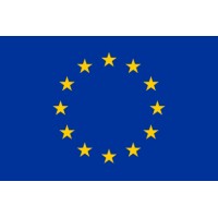 European African Digitalisation Leadership logo - Similar company to Knowit.Ie