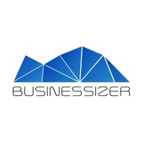 Businessizer AS logo - Similar company to Nanize