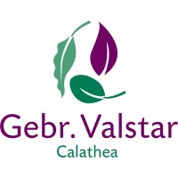 Gebr. Valstar B.V. logo - Similar company to Esperit