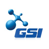 GSI Online logo - Similar company to Ipl - Institute Of Performance And Leadership