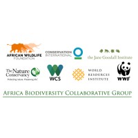 Africa Biodiversity Collaborative Group logo - Similar company to Africa Scout Foundation
