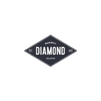 Diamond Baseball Academy Bay Area logo - Similar company to Us Elite Baseball