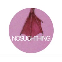 No Such Thing Records logo - Similar company to Melocompass