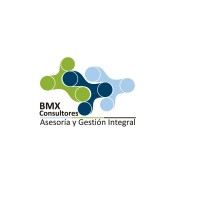 BMX Consulting Group Ltda. logo - Similar company to Bmx