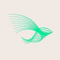 NBSINFRA logo - Similar company to Distender