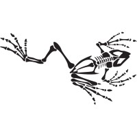 Bone Frog Energy logo - Similar company to Kinetica Global