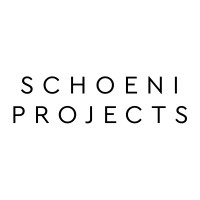 Schoeni Projects logo - Similar company to Endoftheline