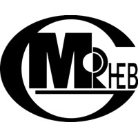 HEBEI MEIRUI METALS & MINERALS CO., LTD logo - Similar company to Sr Steels