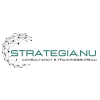 strategia.nu logo - Similar company to Ijshal De Vliet