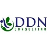 DDN Consulting Services, LLC logo - Similar company to Ddn Group