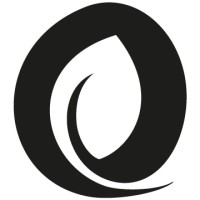 NOX Academy logo - Similar company to Imaginación Edushow S.A. De C.V.