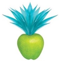 Perennial Spirit Company logo - Similar company to Joe'Y