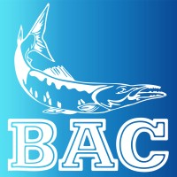 Burlingame Aquatic Club logo - Similar company to Love Thy Neighbor