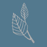 Birch Street Financial Advisors logo - Similar company to Core Financial Resources