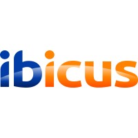 Ibicus Ltd logo - Similar company to Overflow Ai