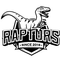 Team Raptors logo - Similar company to Association Of Computer Engineering Students