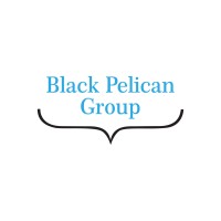 Black Pelican Group logo - Similar company to Owppin Ltd