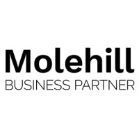 Molehill - Global Business Partner logo - Similar company to Mass Fidelity