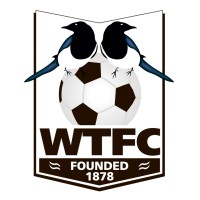 WIMBORNE TOWN FOOTBALL CLUB logo - Similar company to Teamtheme