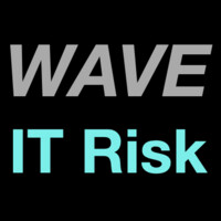 Wave IT Risk logo - Similar company to Flexx.
