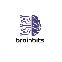 BrainBits logo - Similar company to Skill Eliters
