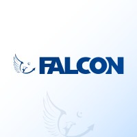Falcon Consulting logo - Similar company to Falcon It & Staffing Solutions