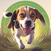 LUCY - Preventing Employees exit and closing the skills' gap. logo - Similar company to Cefe Macedonia