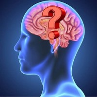 Brain Grain logo - Similar company to Brain Innovation