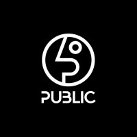 PUBLIC Snowboards logo - Similar company to Dps Techs