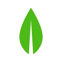 Paftom logo - Similar company to Mandarinfox Llc